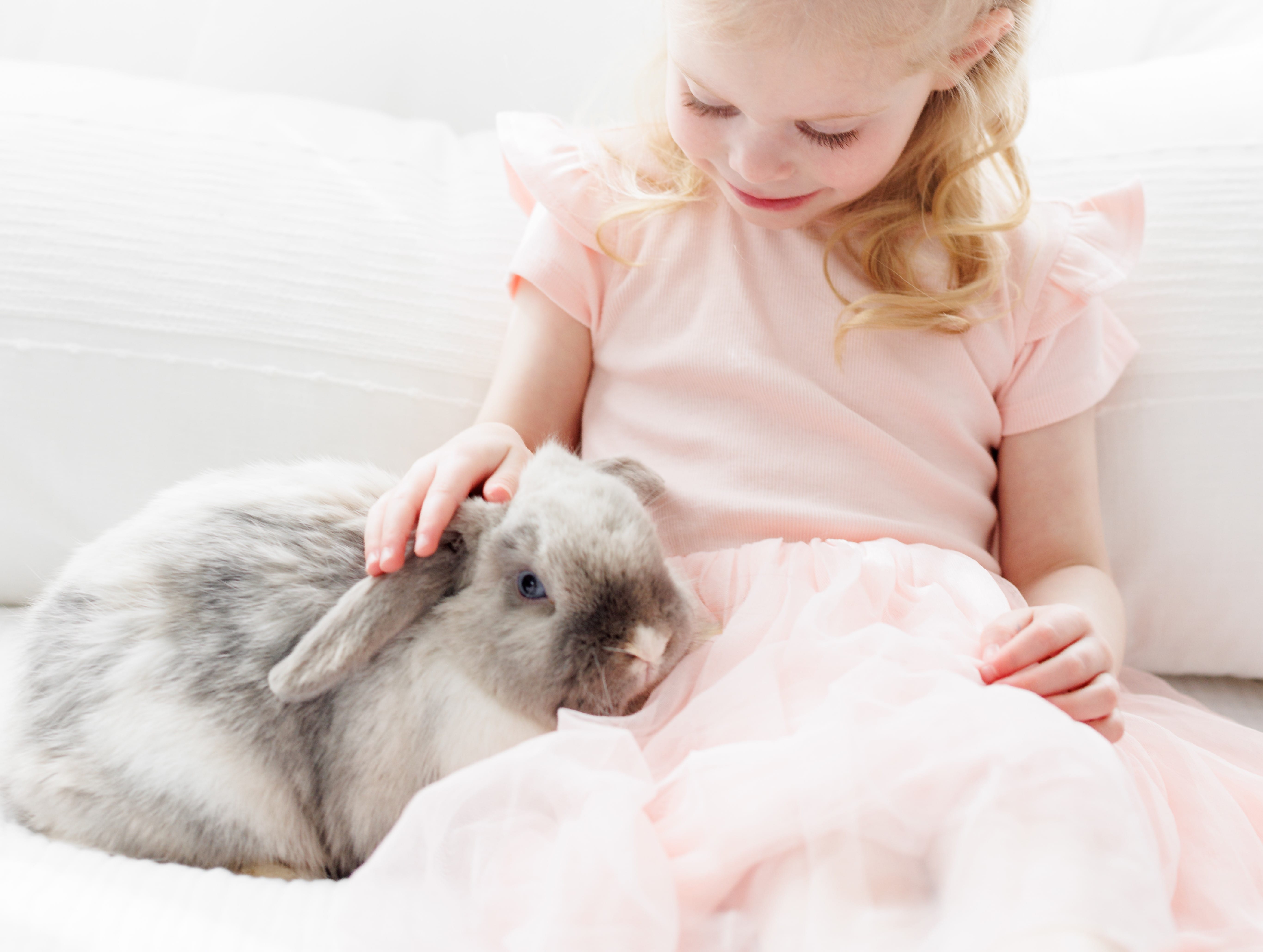 Baby with a Holland Lop rabbit
