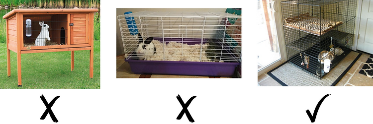 3 other examples of good and bad cages
