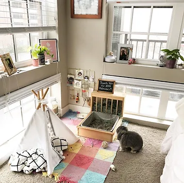 Example of dedicated  bunny room