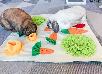 A few examples of chew toys