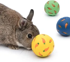Holland Lop baby playing with toy balls